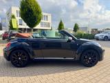 Volkswagen Beetle 1.4 TSI DSG BMT Karmann Cabriolet Karmann - Volkswagen Beetle: Automatik