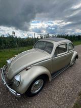 Volkswagen VW Käfer 1200 Faltdach Winker E... - Volkswagen: Sportwagen, Kaefer