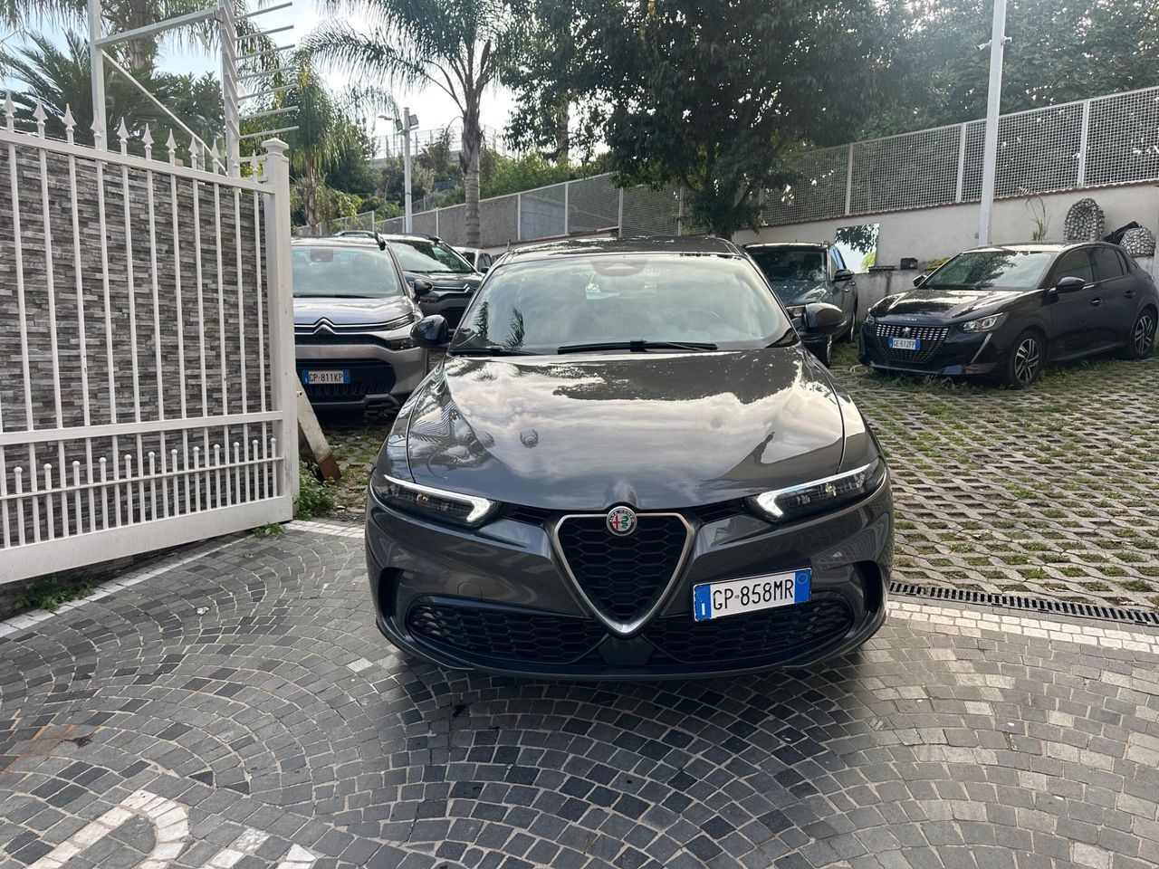 Other Alfa Romeo Tonale 1.6 diesel 130 CV TCT6 Ti imagem 2