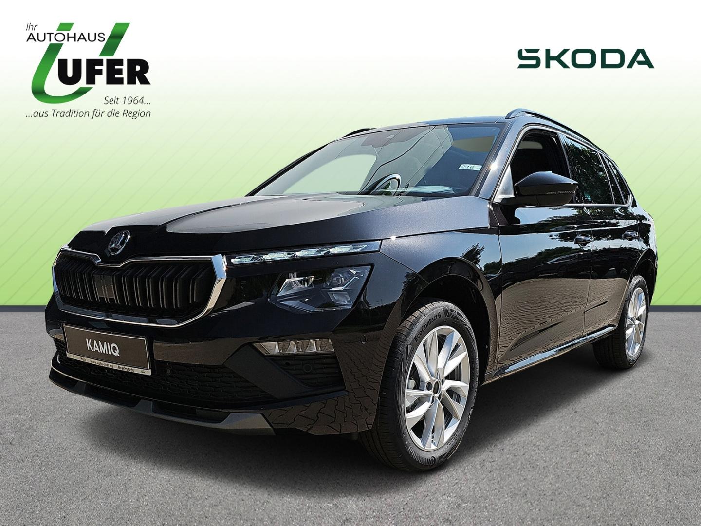 Skoda Kamiq Open Sky Komfort Winter Licht&Sicht