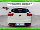 Kia KIA RIO 1.1 - DIESEL - GARANZIA 3 ANNI TOP - Kia Rio: 1.3