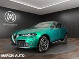 Andere ALFA ROMEO Tonale 1.6 diesel 130 CV TCT6 Ti - Andere mit Diesel-Antrieb: Grün
