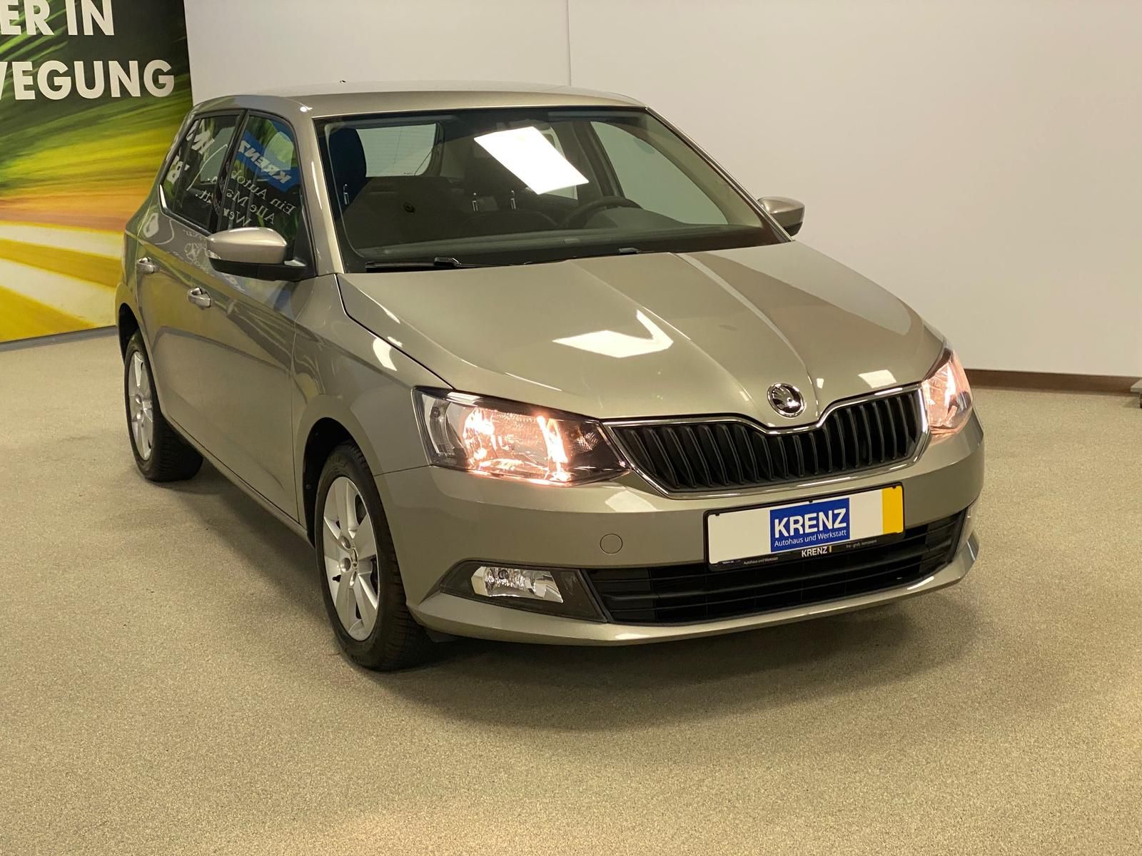 Fahrzeugabbildung SKODA Fabia 1.0 TSI DSG Ambition+Allwetter+PDC+1.Hand+