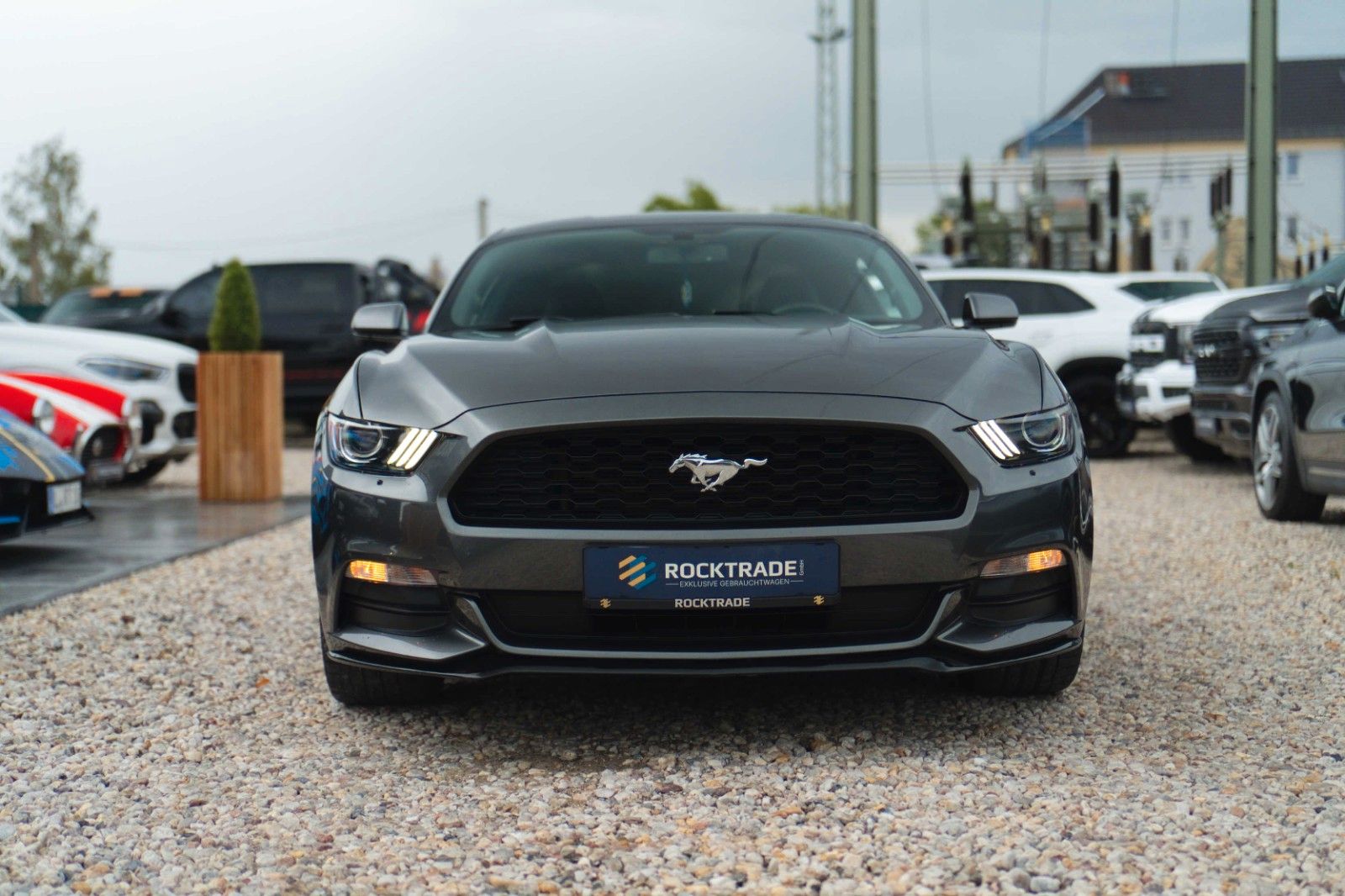 Fahrzeugabbildung Ford Mustang 3.7 V6 GT Coupe 19Zoll | Xenon | Kamera