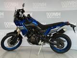 Yamaha XTZ 700 Tenere Tagesz. MJ2024  - Offers