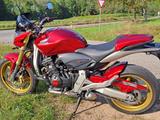Honda Hornet - PC41 / CB600FA - Pearl Siena Rot - Angebote