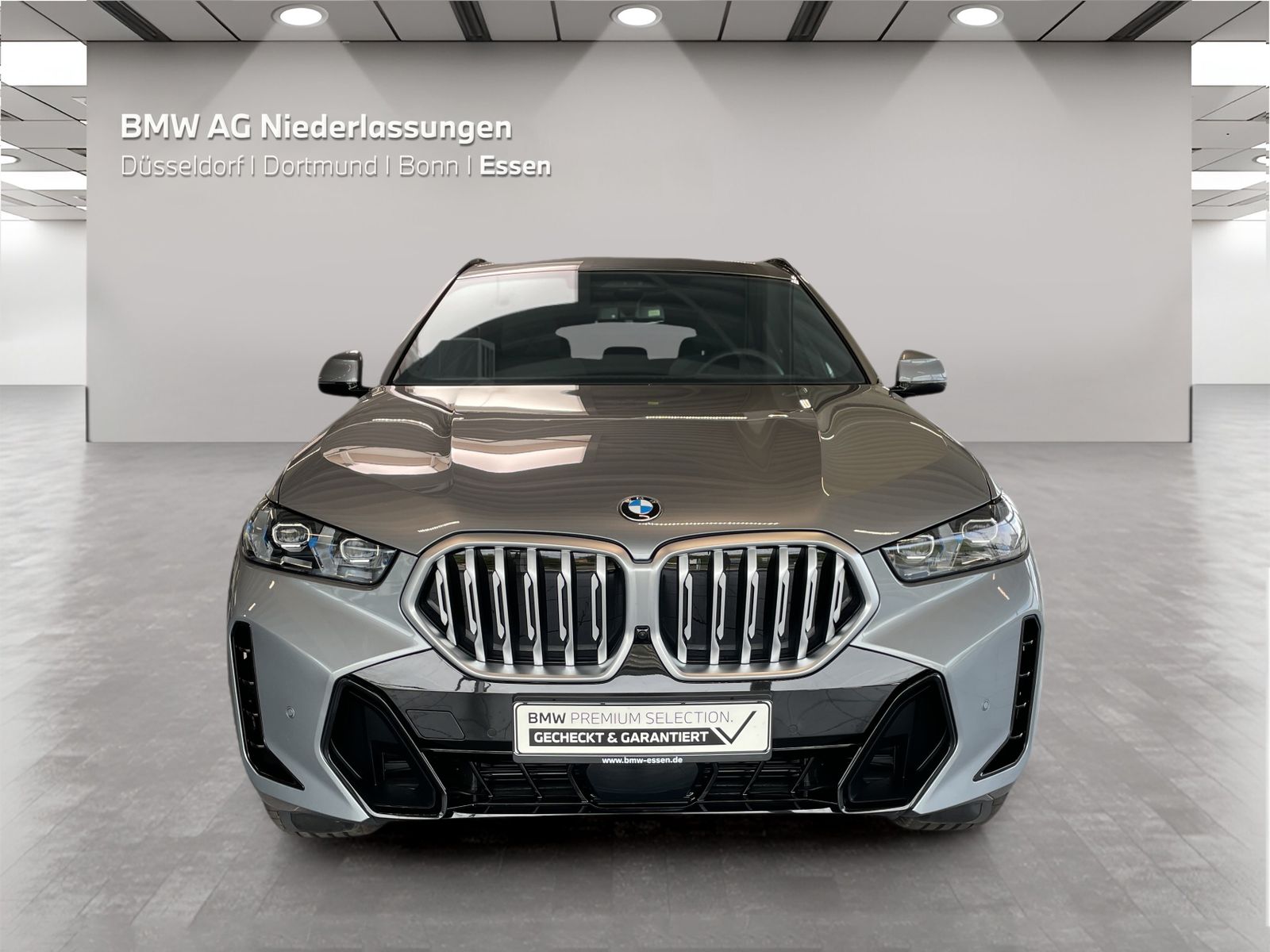 BMW X6 - Bild 8