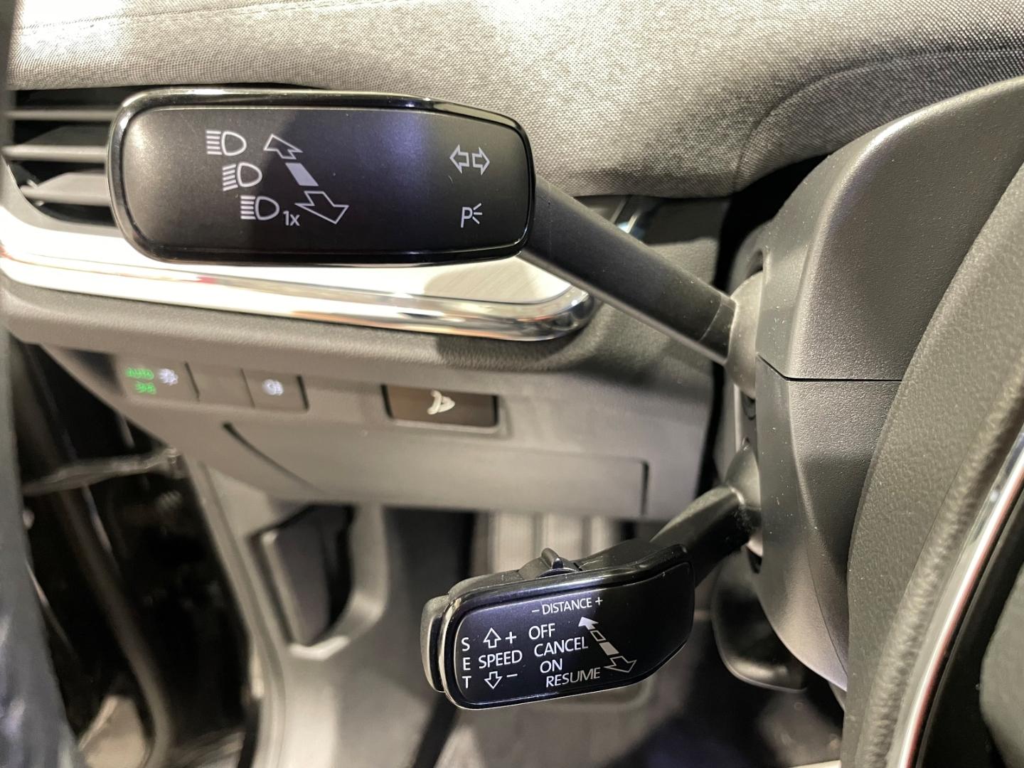 Skoda Enyaq 80 Loft Teilleder Navi LED ACC Rückfahrkam