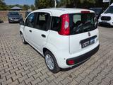 Fiat Panda | 5 Sitzer | Radio | PDC | Tempomat - Fiat Panda: Sitzer