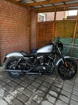 Harley-Davidson Sportster 883 Iron - Angebote entsprechen deinen Suchkriterien
