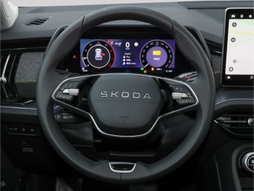 Skoda Kodiaq Selection 2.0 TDI 4x4 DSG LED AHK Kamera
