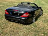 Mercedes-Benz SL 500 - - Mercedes-Benz SL 500: Cabrio