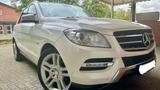Mercedes-Benz ML 350 4MATIC BlueEFFICIENCY - - Mercedes-Benz ML 350 von privat