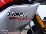 Triumph Tiger Sport 660 1.Hand NEU-Zustand - TRIUMPH TIGER SPORT