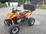 Arctic Cat DVX-300 - ARCTIC CAT QUAD