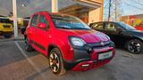 Fiat Panda 1.0 Hybrid 70 PS "RED"-Klima, CarPlay, PDC - Fiat Panda: Red