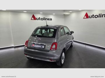Fiat 500 - 6