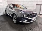 Hyundai SANTA FE 2.2 TD Signatute 4WD/7-Sitze - Hyundai SANTA FE: 7 Sitzer