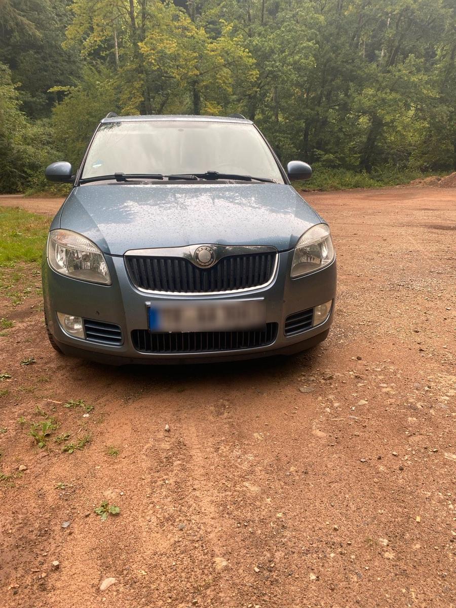 Skoda Fabia 2010 — вигляд ззаду