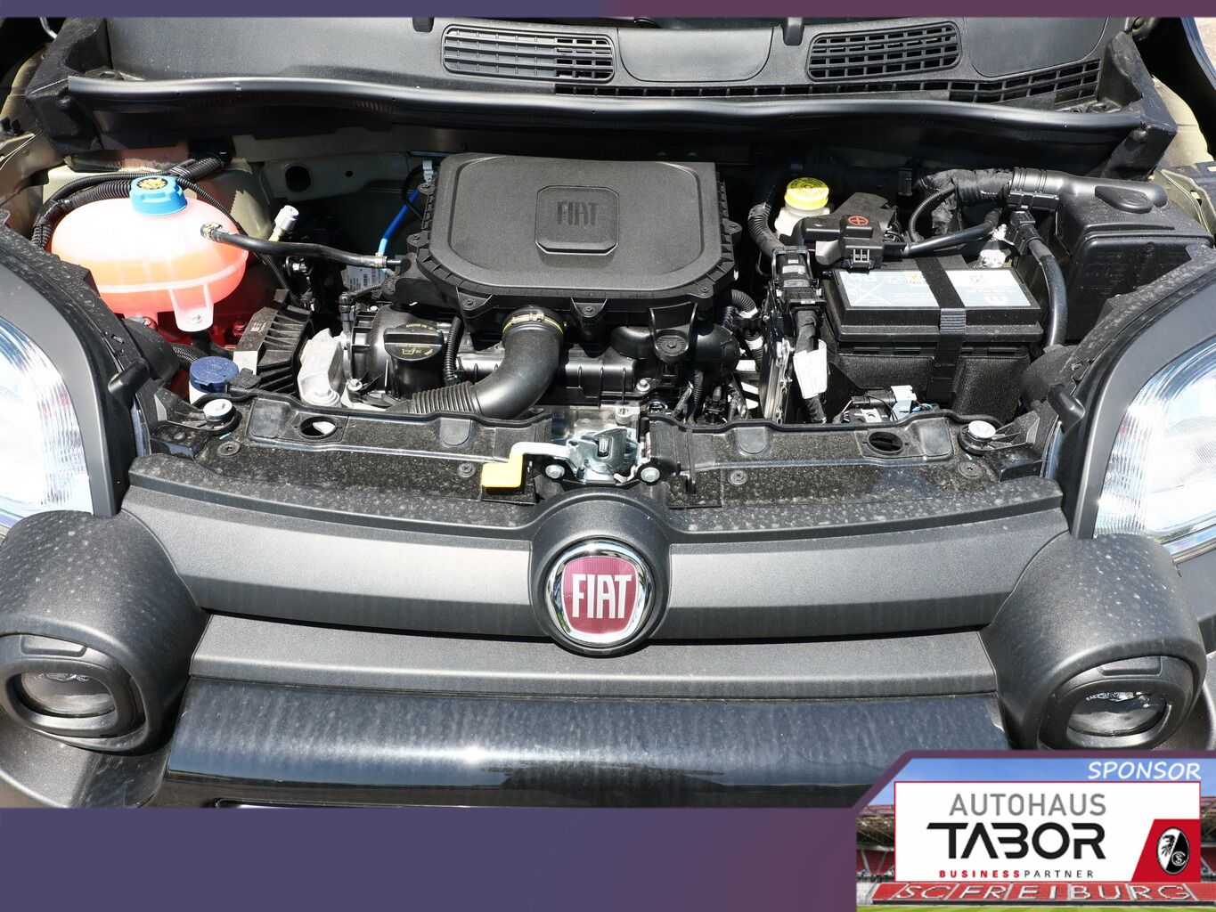 Fiat Panda - Bild 12