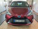 Toyota Yaris Hybrid Y20 Club - Toyota Yaris: Club