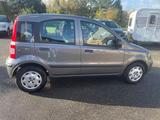 Fiat Panda 1.2 8V Classic Zahnriemen neu - graue Fiat Panda