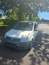 Fiat Panda 1.1  Zuverlässiger City-Flitze... - : Kleinwagen, Zuverlässige