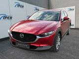 Mazda CX-30 2.5L e-SKYACTIV G 140ps Exclusive-Line - Mazda CX-30 Tageszulassungen