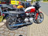 Triumph T 100 Bonneville Bud Ekins - TRIUMPH BONNEVILLE T100