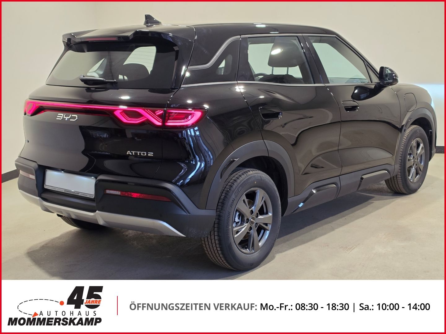 BYD ATTO 2