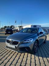 Volvo V40 Cross Country Plus - Volvo V40 mit Panoramadach
