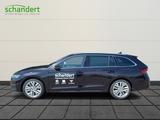 Skoda Octavia Combi 2.0 TDI Selection Ultimate Cognac - Skoda Octavia: Ultimate