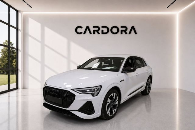 AUDI e-tron 55 quattro S line *Wärmepumpe*LED*NAVI
