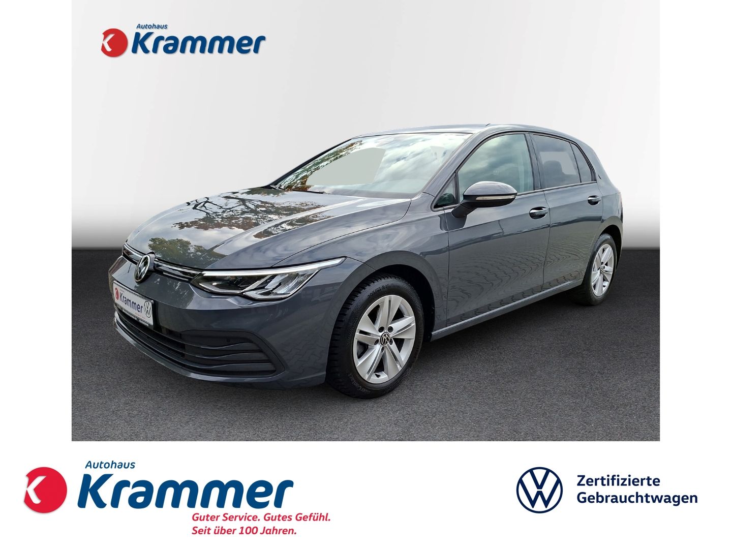 Golf VIII 2.0 TDI Life *NAVI*STHZ*KAMERA*