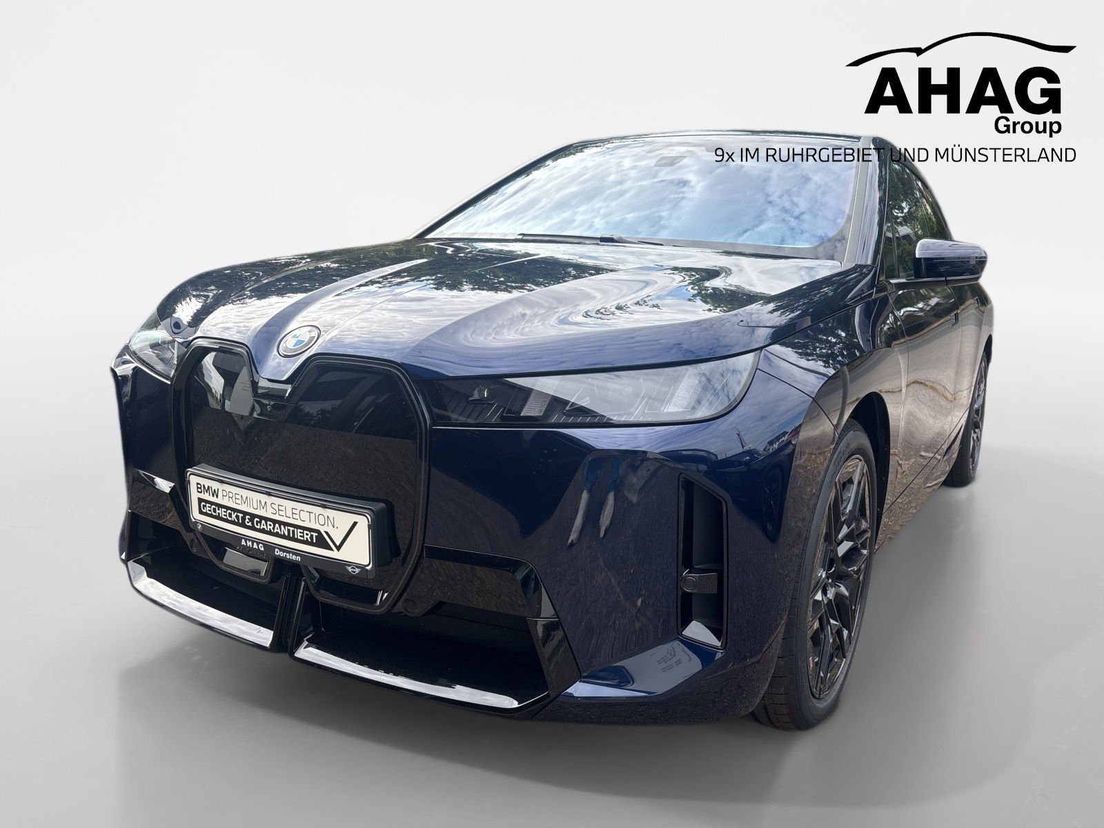 BMW iX xDrive45 M Sport Pro H/K HUD ACC 360° 4xSHZ L