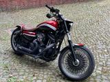 Harley-Davidson Sportstar - HARLEY-DAVIDSON MOTOCROSS DIRT BIKE
