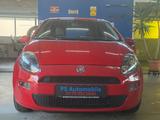 Fiat Punto Easy*48.000 Km*1.Hand*Top Zustand - Fiat Punto: 1.4