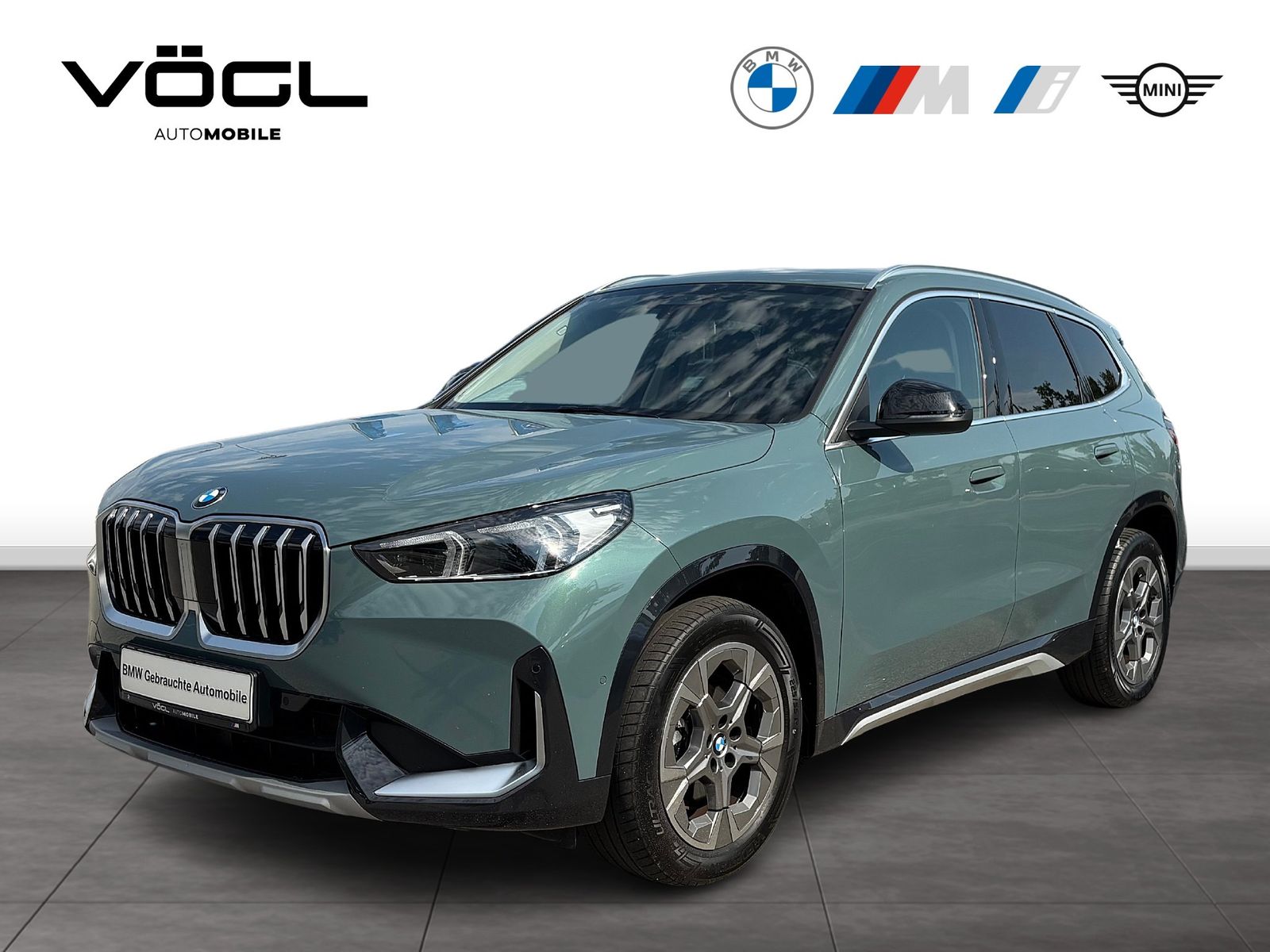 BMW X1 xDrive23d xLine Driv.Ass.Plus AHK foto 1