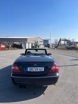 Mercedes-Benz CLK 63 AMG AMG - Mercedes-Benz CLK 63 AMG: Cabrio