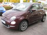 Fiat 500 Dolcevita 1.0 Hybrid + Glasdach - Fiat 500: Glasdach