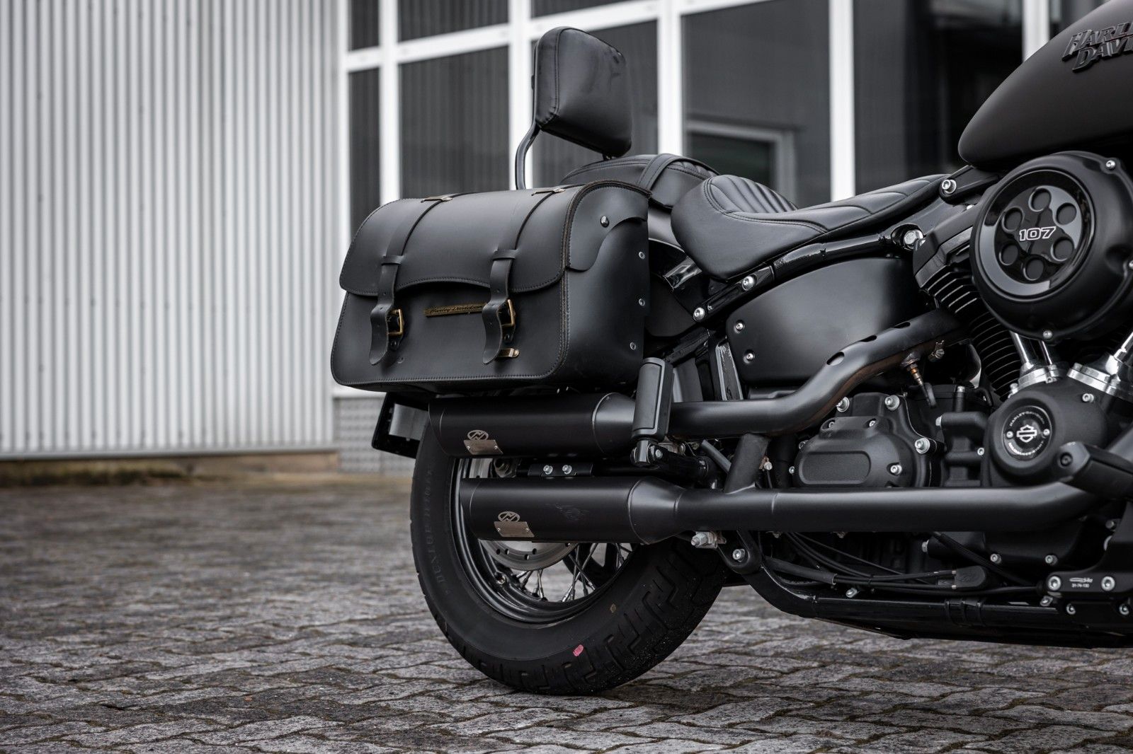 Fahrzeugabbildung Harley-Davidson FXBB STREET Bob Softail - JEKILL&HYDE