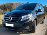 Mercedes-Benz V250 d AVANTG., LANG, 8FACH BER, HIMMEL SCHWARZ