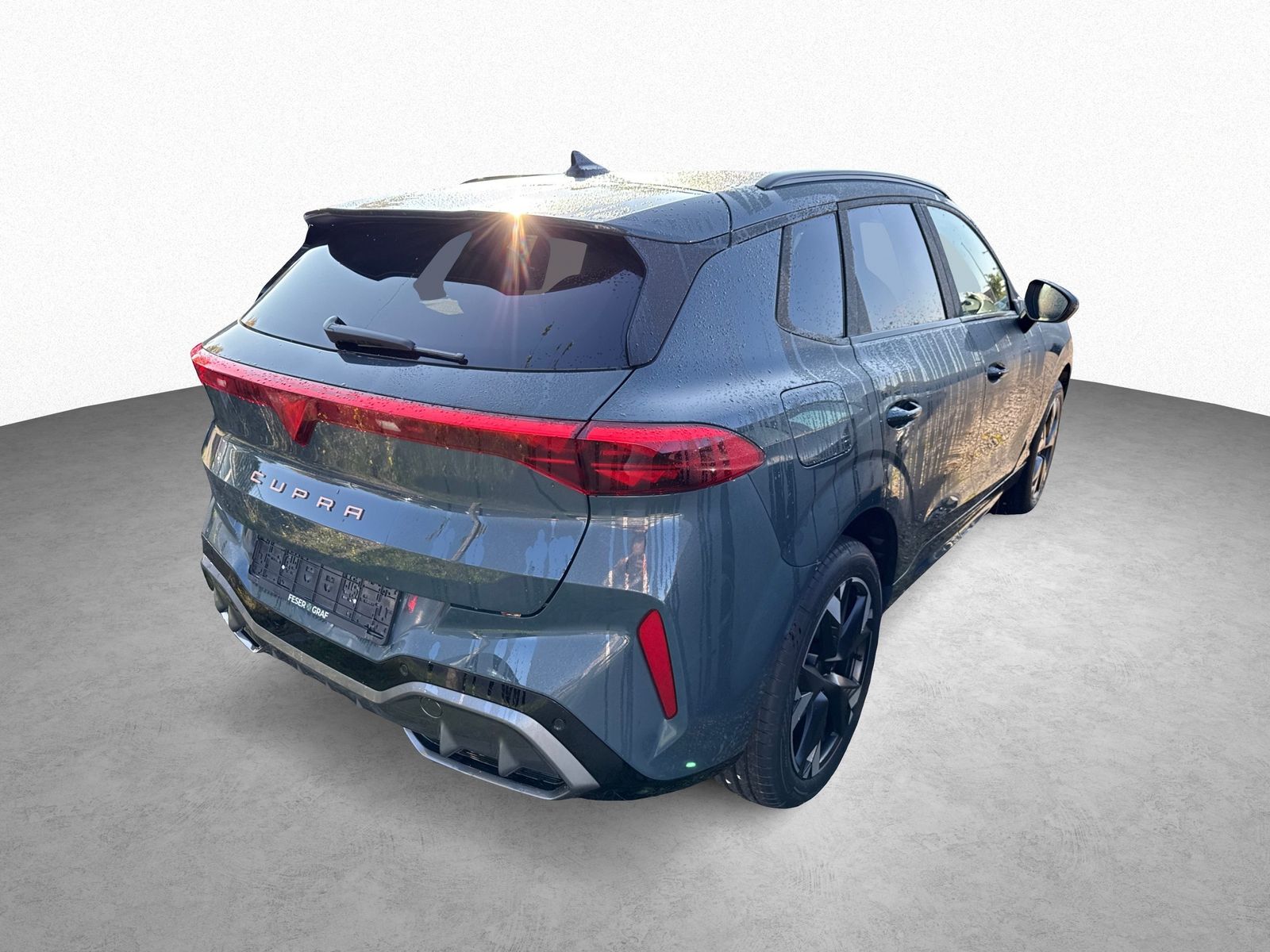 Cupra Terramar - Bild 5