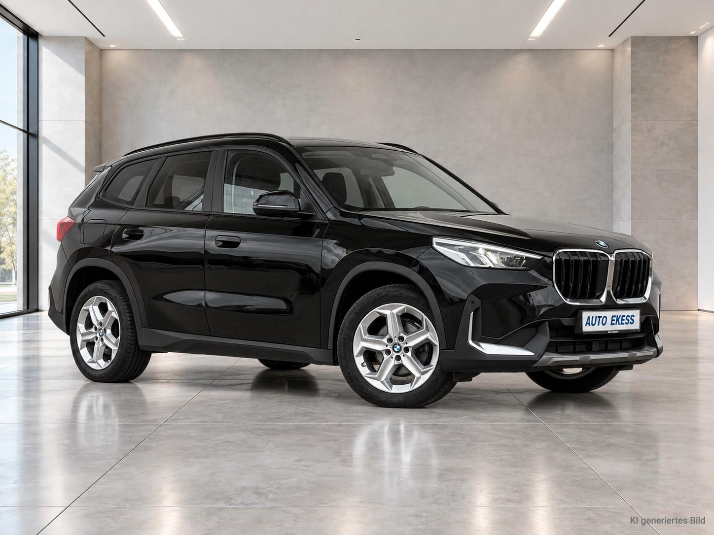 BMW X1 xDrive 20d H/K*PANO*KAMERA*MEM*