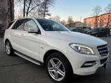Mercedes-Benz ML 250 ML ML 250 CDI BlueTec - Mercedes-Benz ML 250 mit Diesel-Antrieb: Geländewagen, Automatik