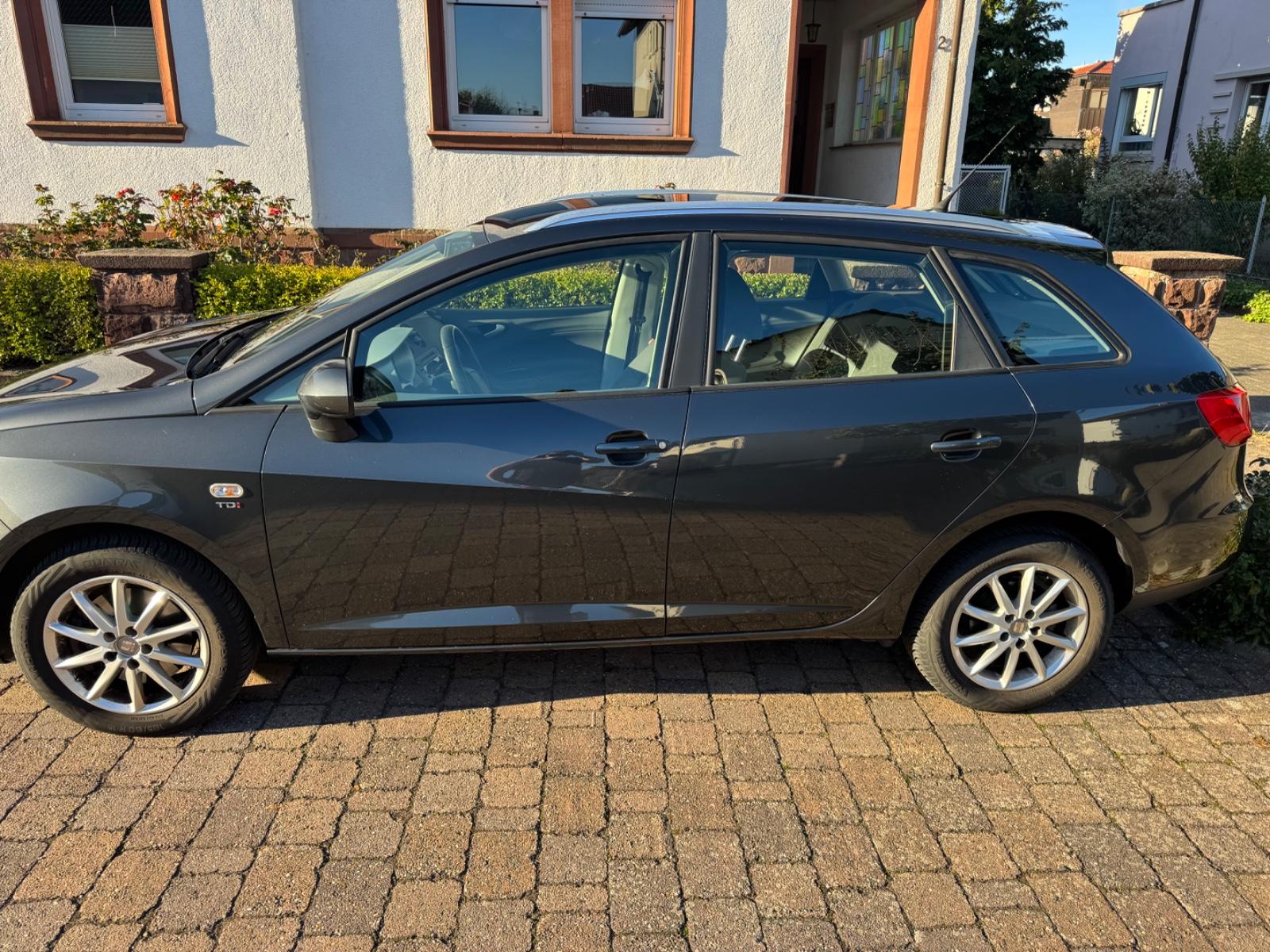 Seat Ibiza 2011 — rear view