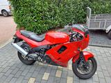 Triumph Daytona 900 (T300) Rarität - TRIUMPH DAYTONA 900