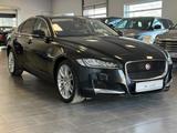 Jaguar XF 30d Prestige Head-Up/Pano/Kamera/LEDs/TotWink - Jaguar XF in Köln