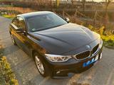 BMW 430 Gran Coupé 430d Gran Coupé M Sport Autom... - BMW 430 Gran Coupé in Bonn