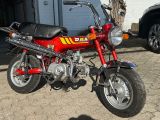 Honda DAX ST 70 - HONDA DAX ST 70